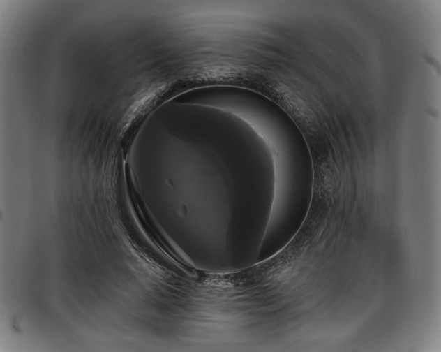 X0000097590640200802291220
