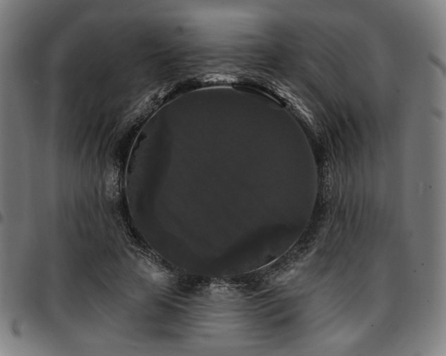 X0000097590641200802291220