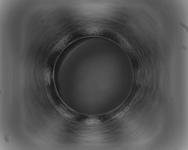 X0000097590644200802291220