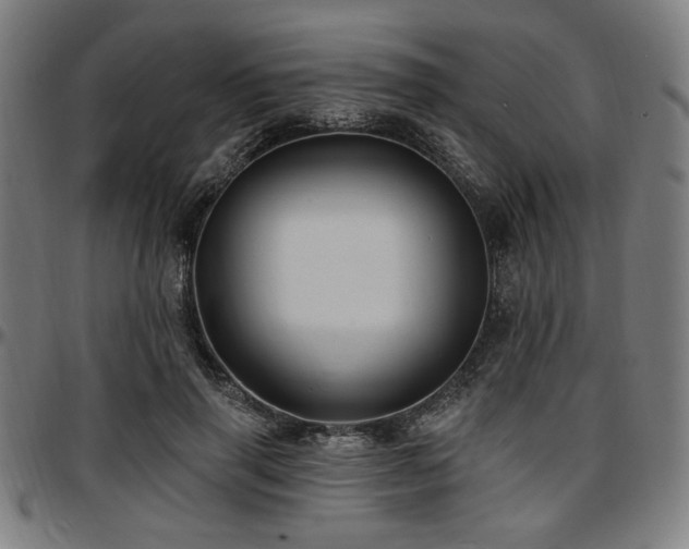 X0000097590645200802291220