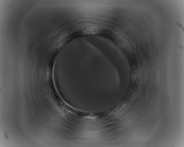 X0000097590647200802291220