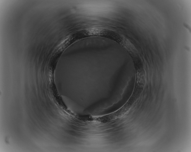 X0000097590648200802291220