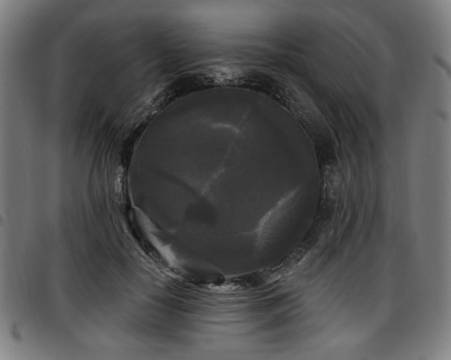 X0000097590650200802291220