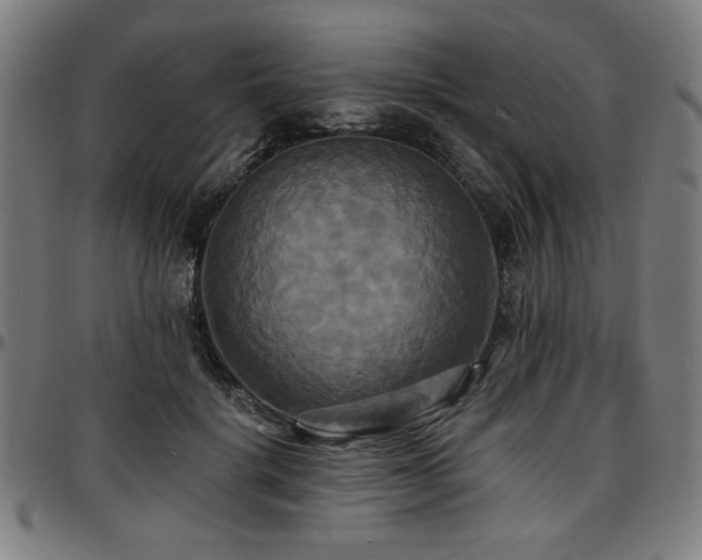 X0000097590652200802291220