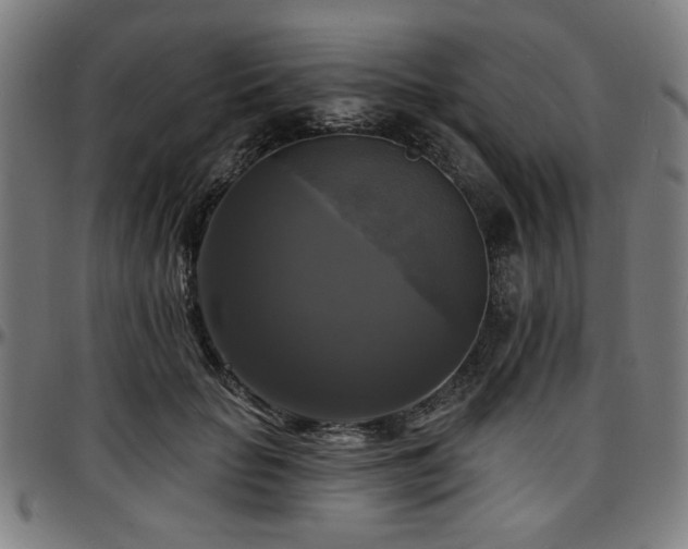 X0000097590653200802291220