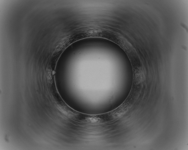 X0000097590654200802291220