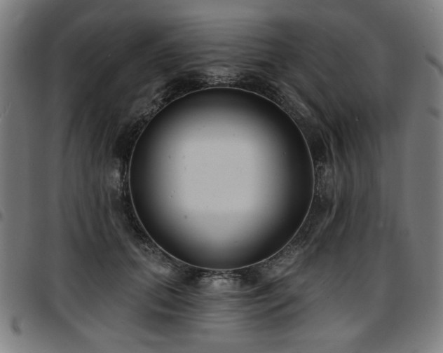 X0000097590655200802291220