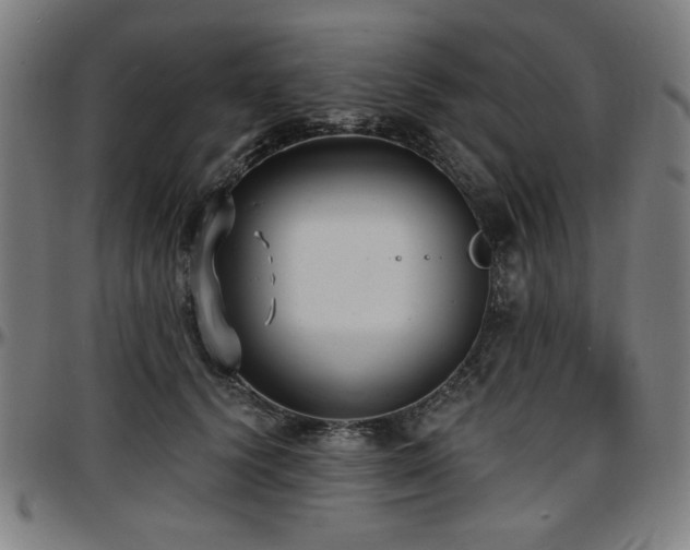 X0000097590656200802291220