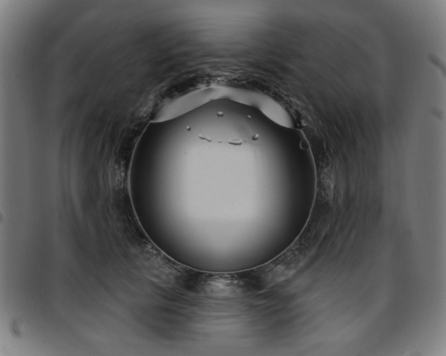 X0000097590657200802291220