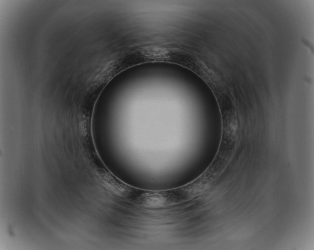 X0000097590658200802291220