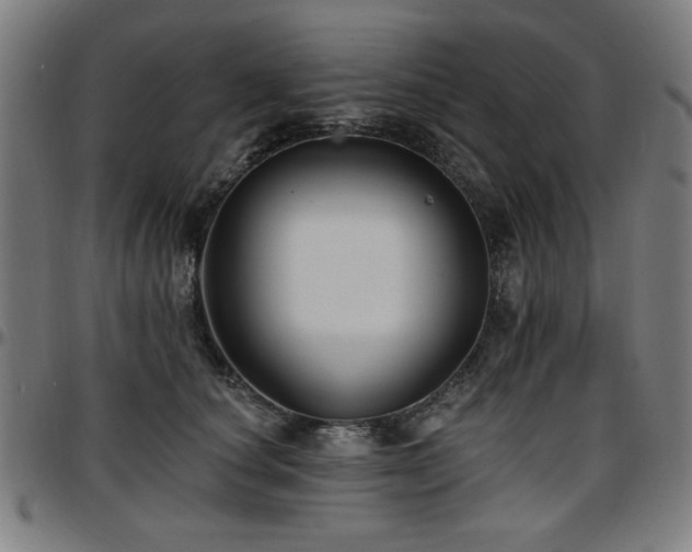 X0000097590660200802291220