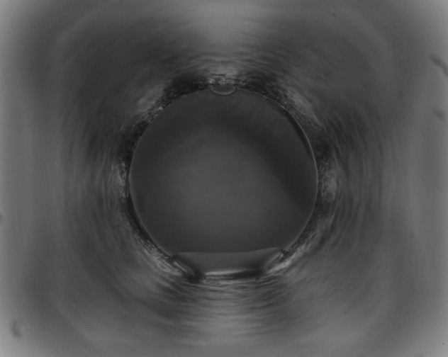 X0000097590661200802291220