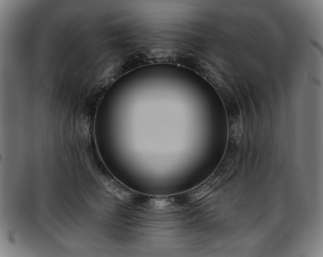 X0000097590662200802291220
