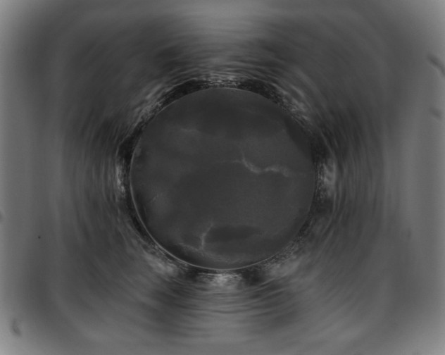 X0000097590663200802291220
