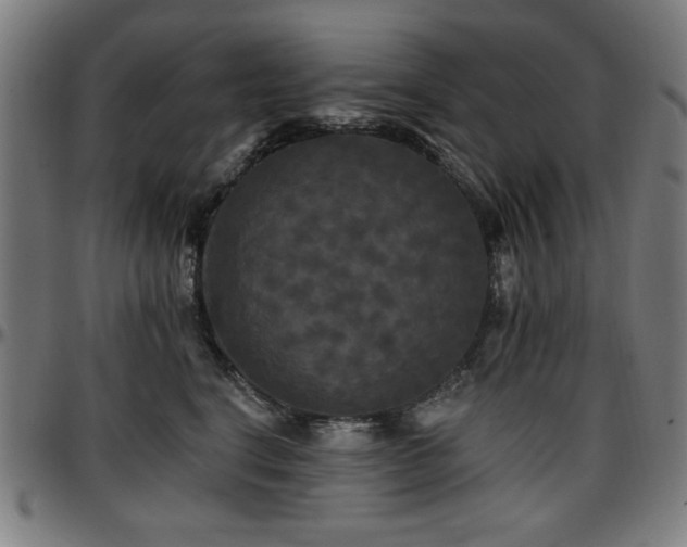X0000097590664200802291220
