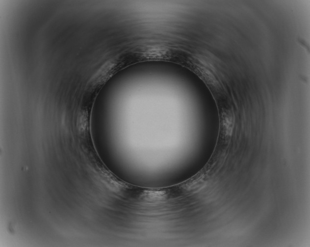 X0000097590665200802291220