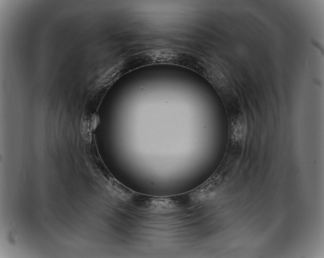X0000097590666200802291220