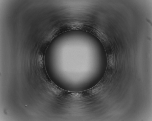 X0000097590667200802291220