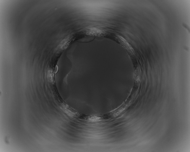 X0000097590669200802291220