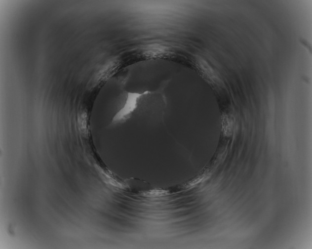X0000097590670200802291220