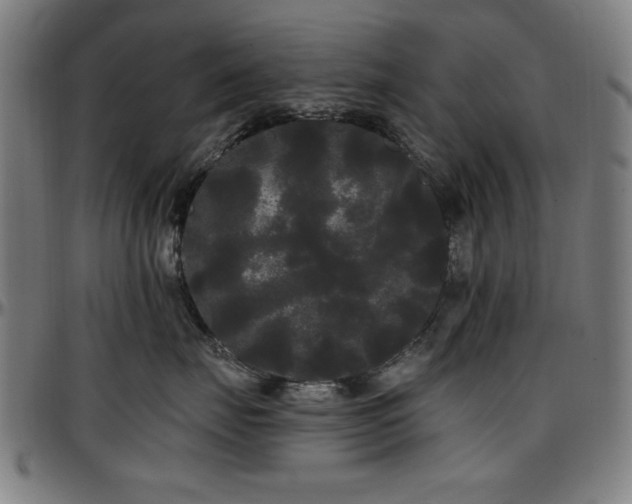 X0000097590671200802291220