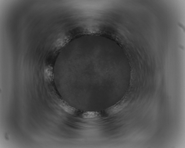 X0000097590672200802291220