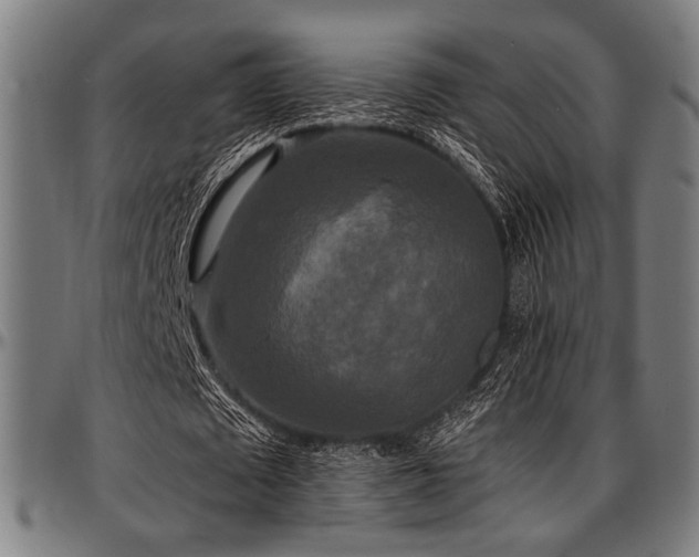 X0000097590673200802291219