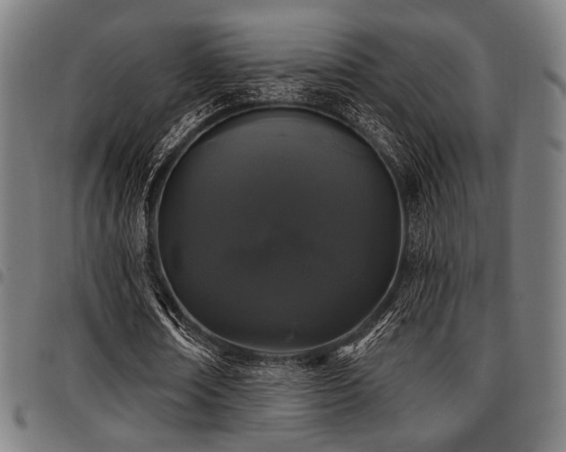 X0000097590674200802291219