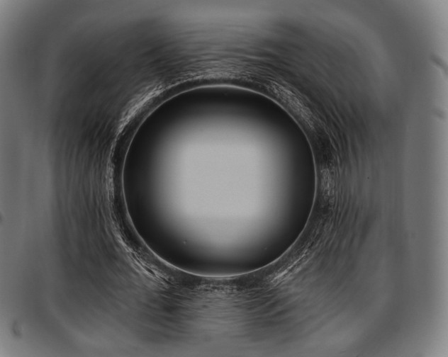 X0000097590676200802291219