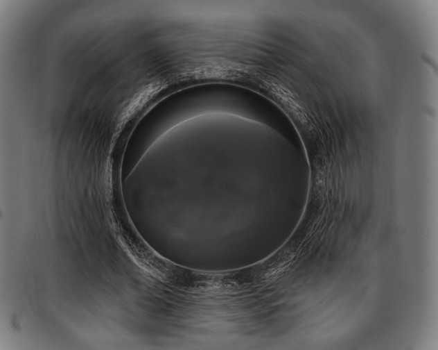 X0000097590678200802291219