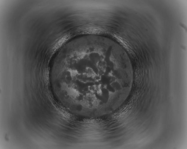 X0000097590679200802291219