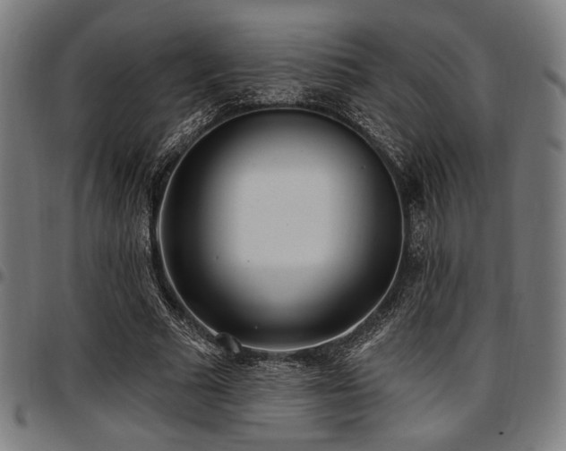 X0000097590681200802291219