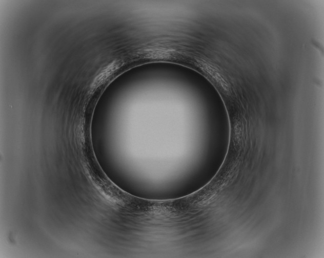 X0000097590682200802291219
