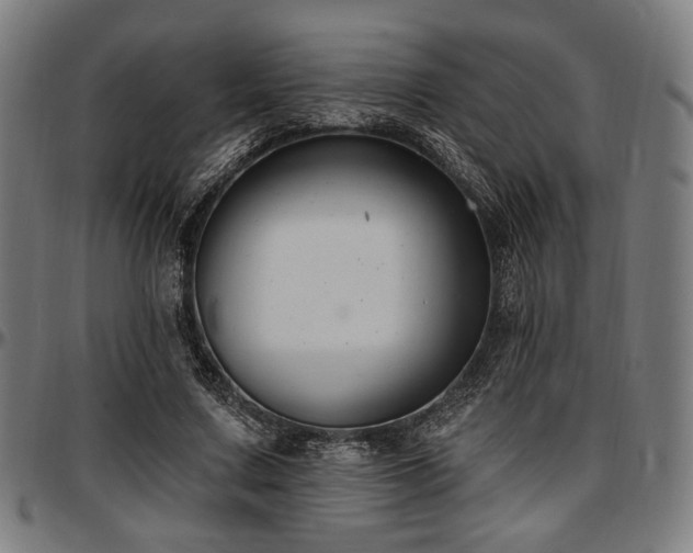 X0000097590683200802291219