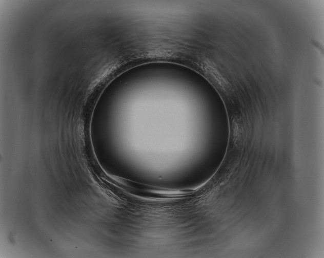 X0000097590684200802291219