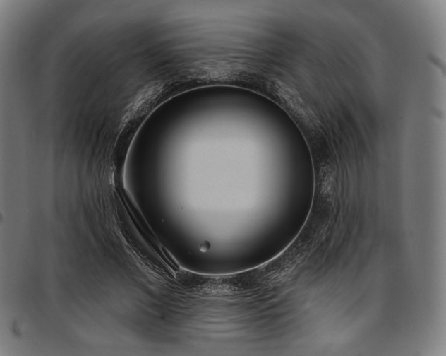 X0000097590685200802291219
