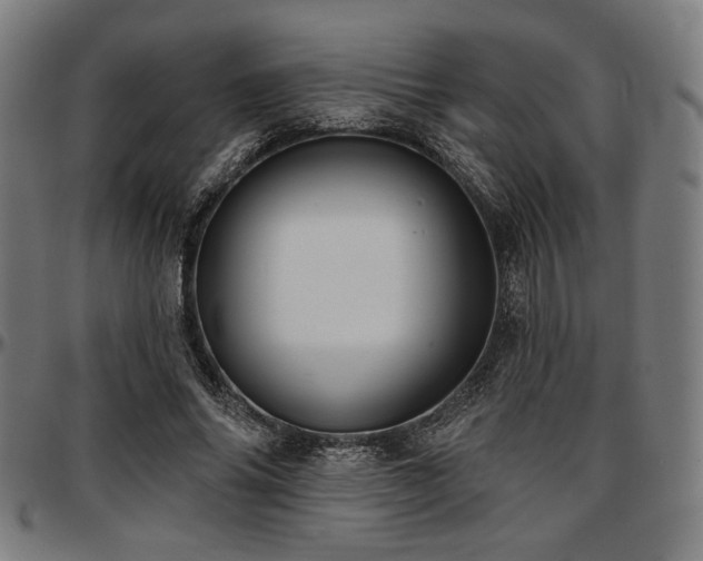 X0000097590686200802291219