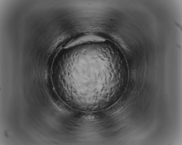 X0000097590687200802291219