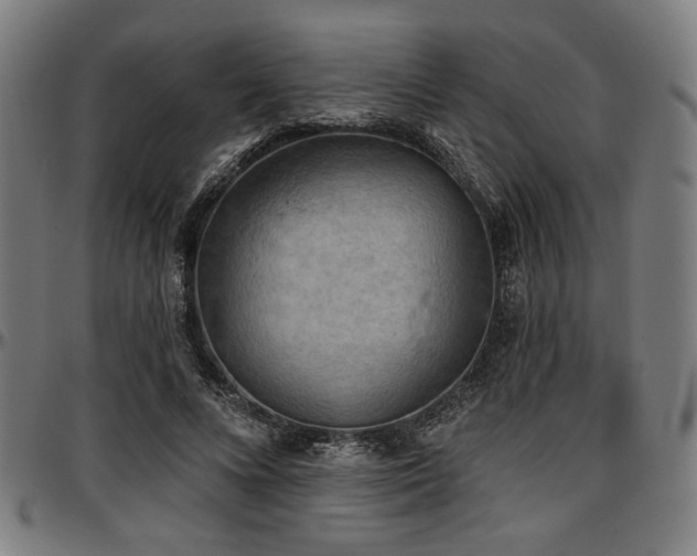X0000097590688200802291219