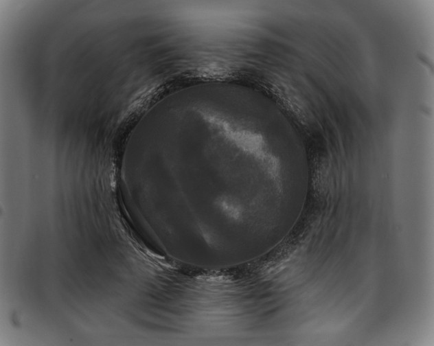X0000097590689200802291219