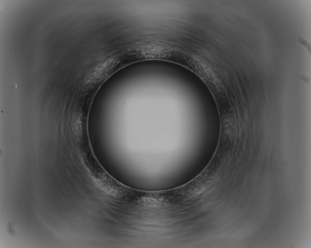 X0000097590690200802291219