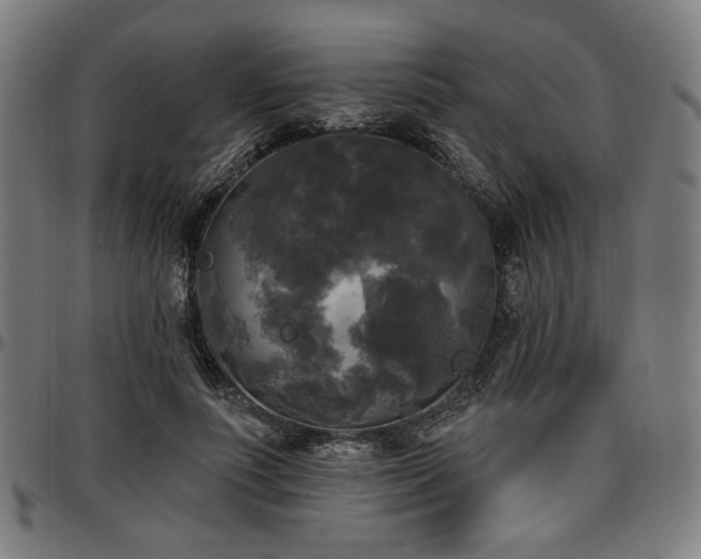X0000097590691200802291219