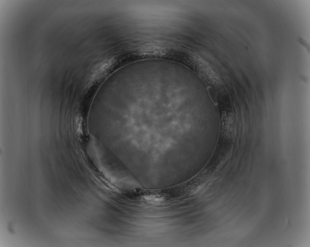 X0000097590692200802291219