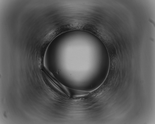 X0000097590693200802291219
