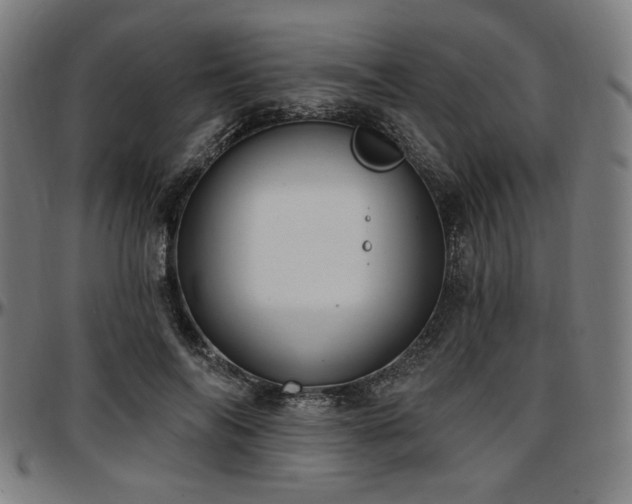 X0000097590694200802291219