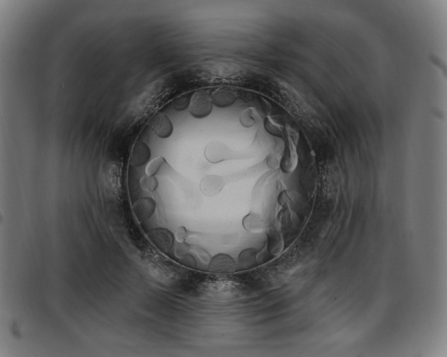 X0000097590695200802291219