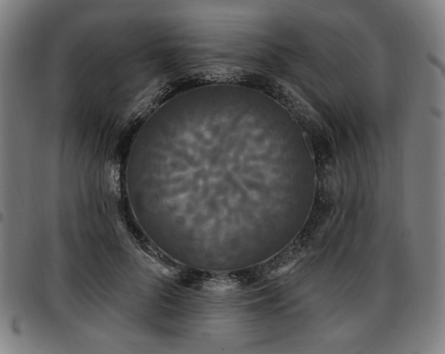 X0000097590696200802291219
