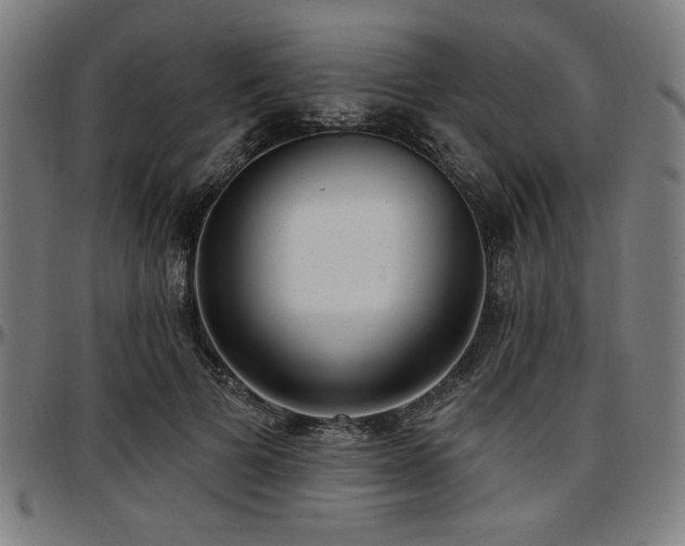 X0000097590697200802291219