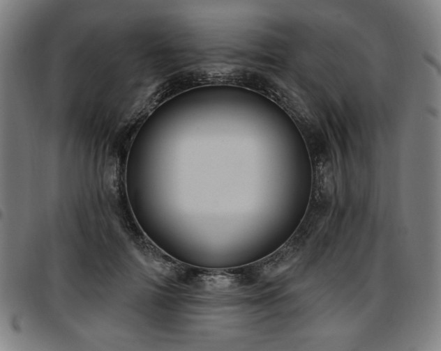 X0000097590698200802291219