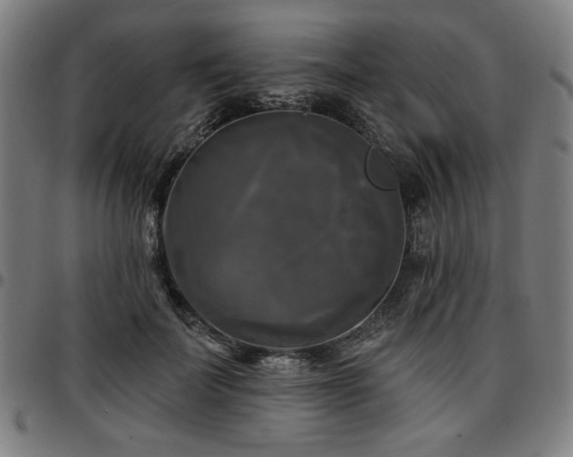 X0000097590699200802291219